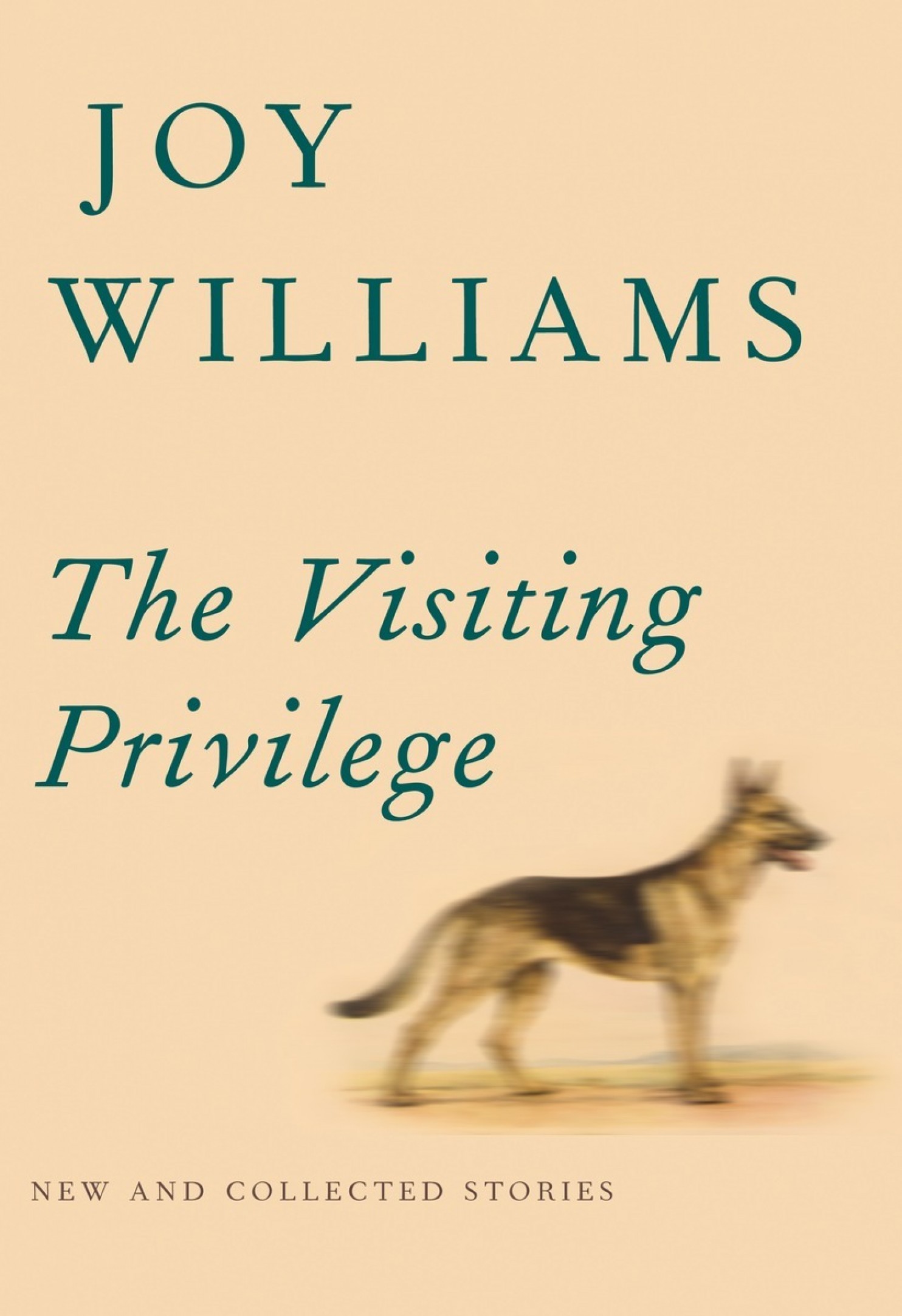 the-visiting-privilege