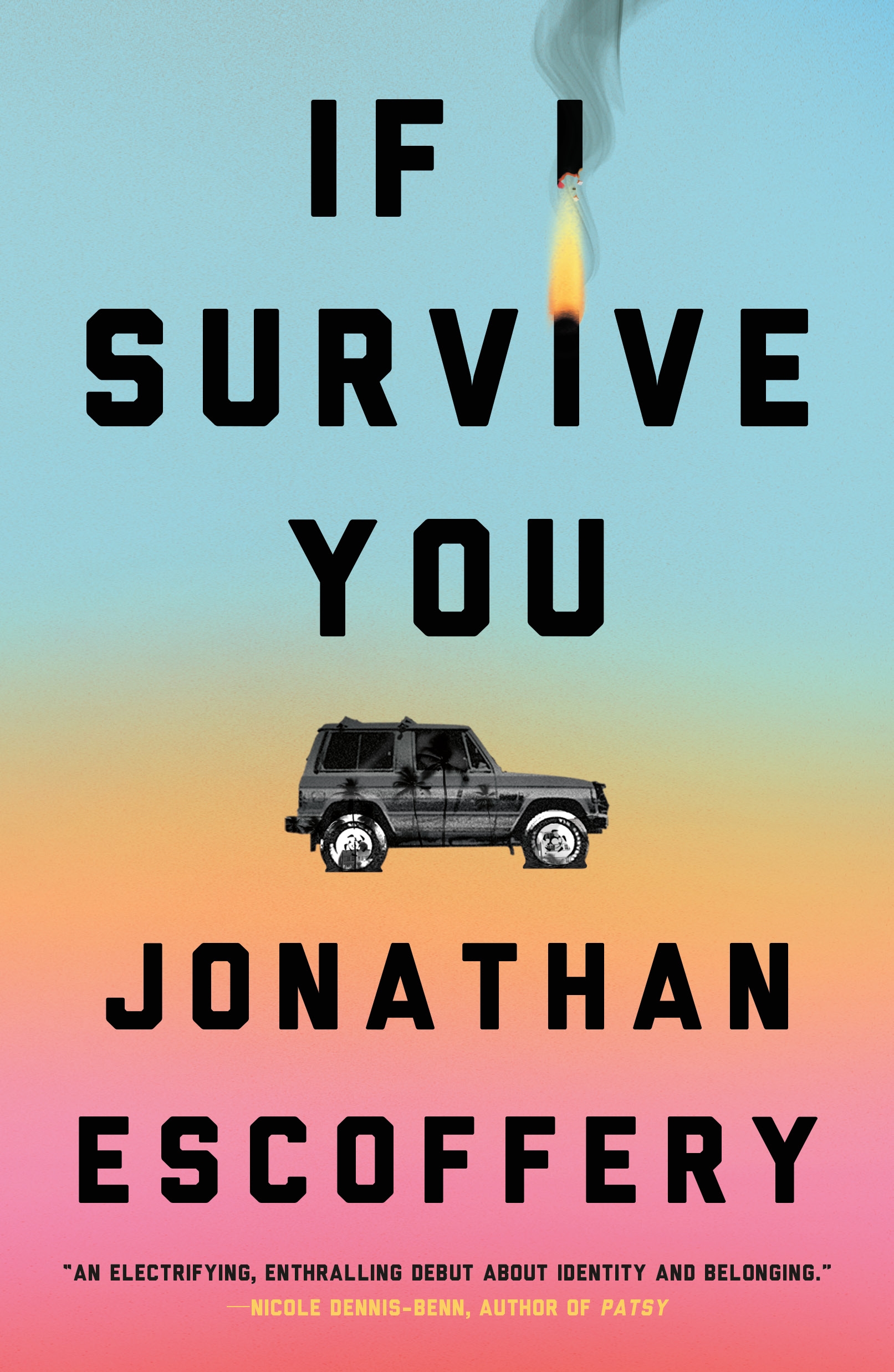 IF I SURVIVE YOU Book Cover