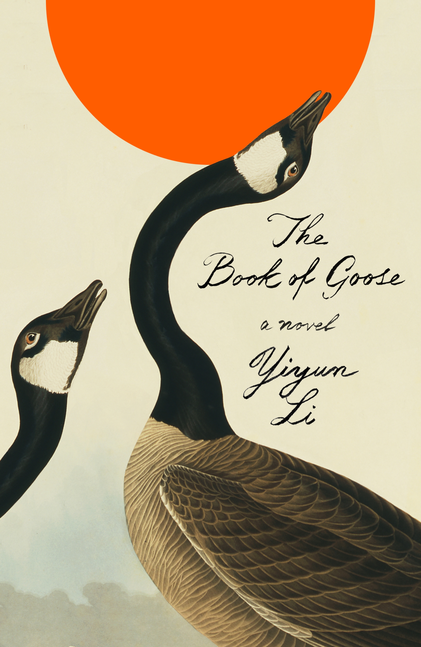 THE BOOK OF GOOSE Book Cover